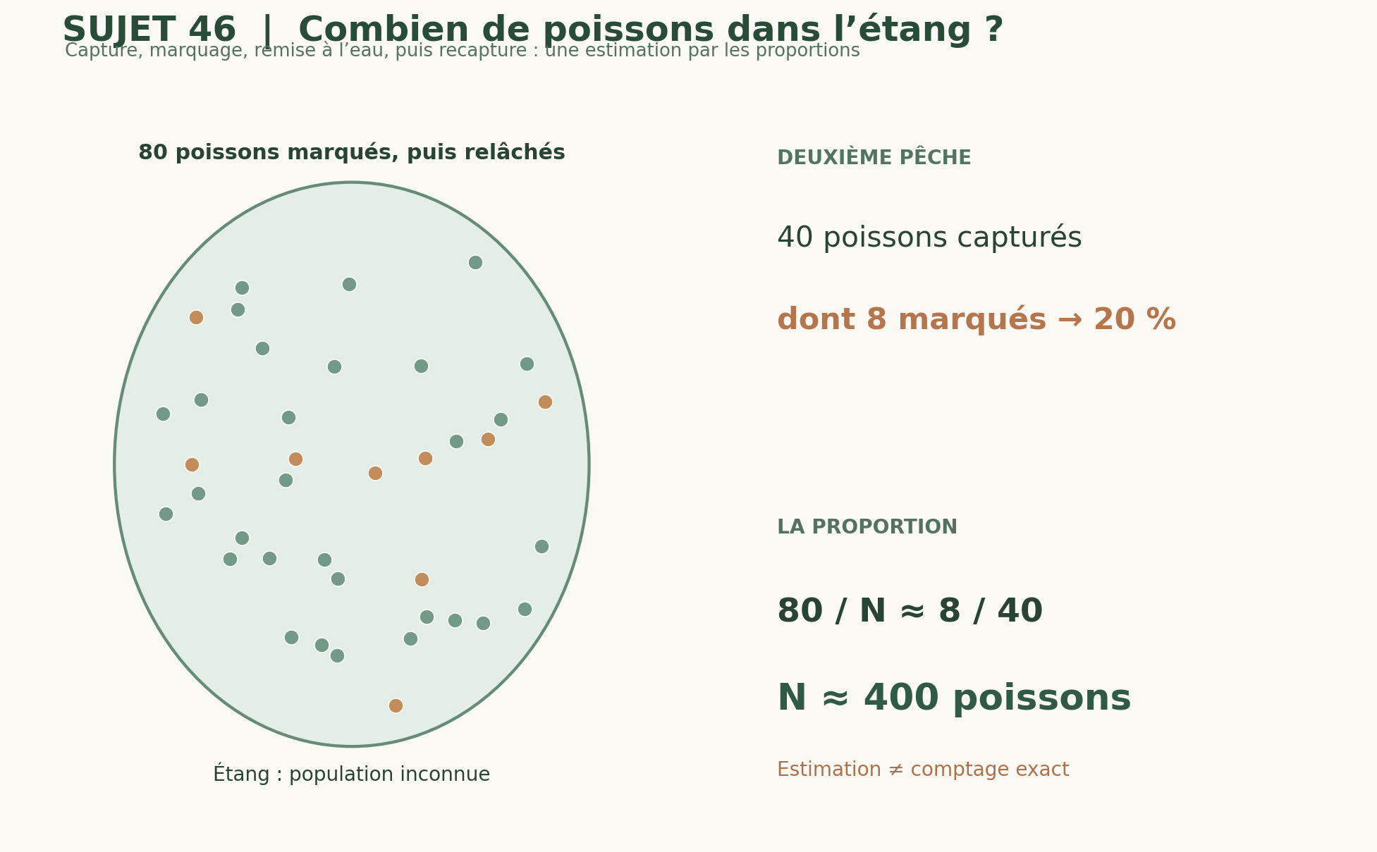 Support graphique du sujet 46 : Comment compter les poissons d’un étang sans tous les attraper ?
